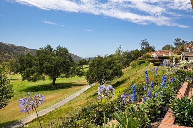 29122 Laurel Valley Dr, Vista, CA 92084 - photo 4