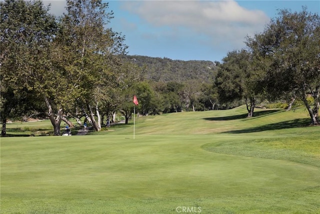 29122 Laurel Valley Dr, Vista, CA 92084 - photo 43