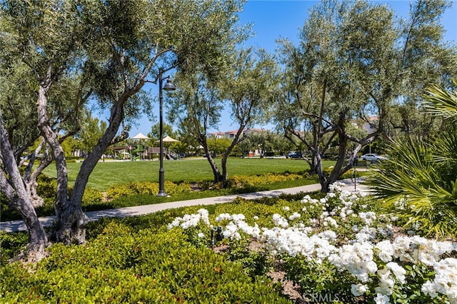 124 Tubeflower, Irvine, CA 92618 - photo 40