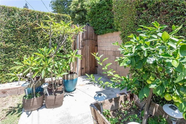 15713 Tuba St, North Hills, CA 91343 - view of patio
