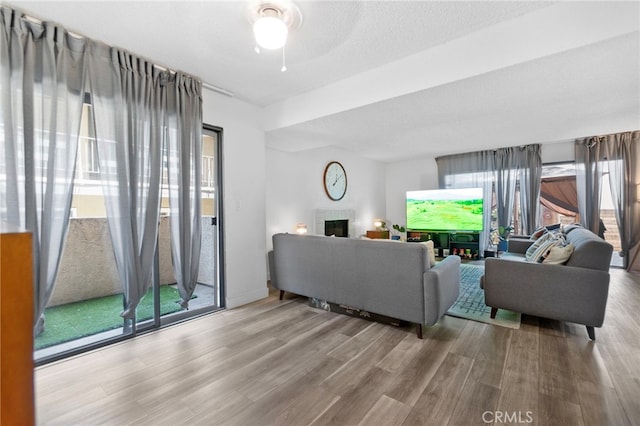 1110 Ohio Ave Unit 107, Long Beach, CA 90804 - living area featuring wood finished floors, plenty of natural light, and a fireplace