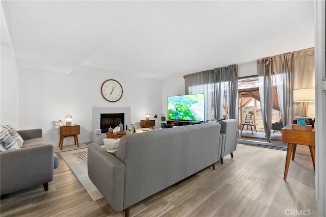 1110 Ohio Ave Unit 107, Long Beach, CA 90804 - living area featuring light wood-style flooring and a fireplace