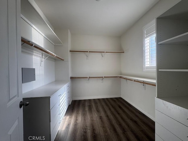 14610 Baylor Ave, Chino, CA 91710 - walk in closet with dark wood-type flooring