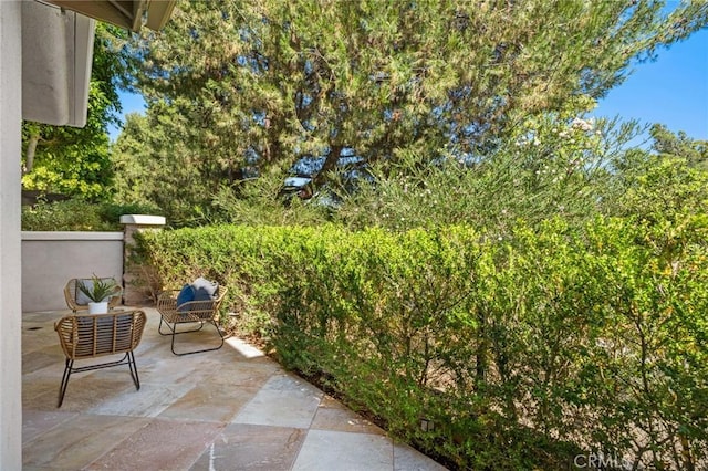 52 Anjou, Newport Coast, CA 92657 - view of patio