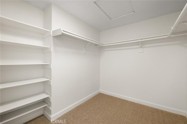754 Manecita Cir, Perris, CA 92571 - spacious closet featuring carpet floors