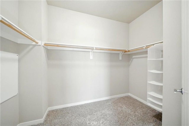 2651 W Lincoln Ave Unit 41, Anaheim, CA 92801 - walk in closet with carpet