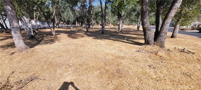 5277 Farfalla Cir, Mariposa, CA 95338 - photo 3