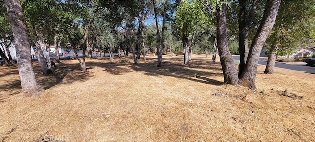 5277 Farfalla Cir, Mariposa, CA 95338 - photo 2