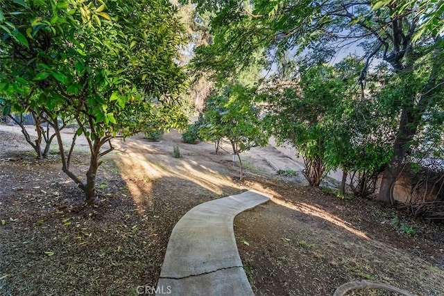 6032 Sun Knoll Cir, Yorba Linda, CA 92886 - view of yard