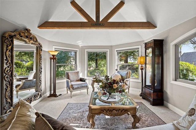 1624 Alessandro Rd, Redlands, CA 92373 - living room featuring light carpet