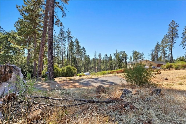 1700 Bandtail Ln, Paradise, CA 95969