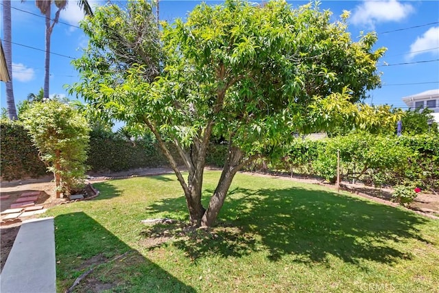 8356 Duarte Rd, San Gabriel, CA 91775 - view of fenced backyard