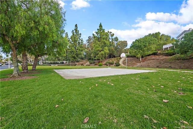 42 Fairlane Rd, Laguna Niguel, CA 92677 - surrounding community with volleyball court, community basketball court, and a yard