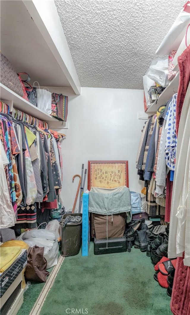 13572 Sutter Dr, Westminster, CA 92683 - spacious closet featuring carpet