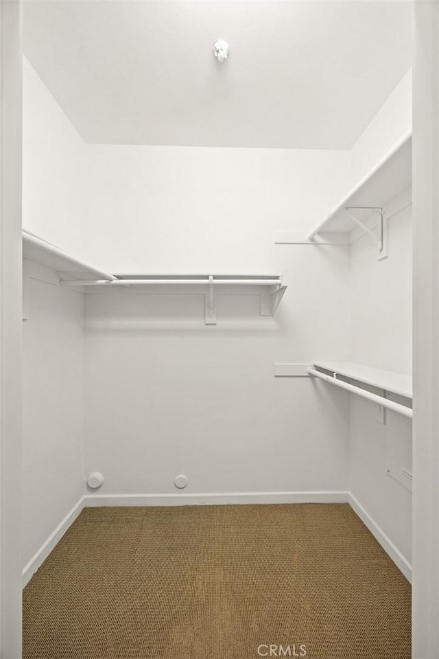 505 Falling Leaf, Monrovia, CA 91016 - walk in closet featuring carpet flooring