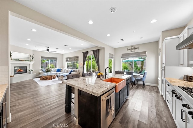 982 Camino Del Arroyo Dr Unit 49, San Marcos, CA 92078 - kitchen with dark wood-type flooring, stainless steel dishwasher, a center island with sink, a tile fireplace, and light stone counters
