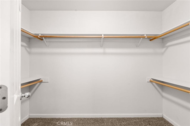 1057 Windsor Way, Chico, CA 95926 - walk in closet featuring carpet floors