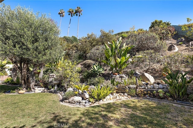 24802 La Plata Dr, Laguna Niguel, CA 92677 - view of green lawn