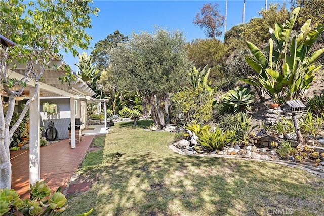 24802 La Plata Dr, Laguna Niguel, CA 92677 - view of grassy yard featuring a patio area