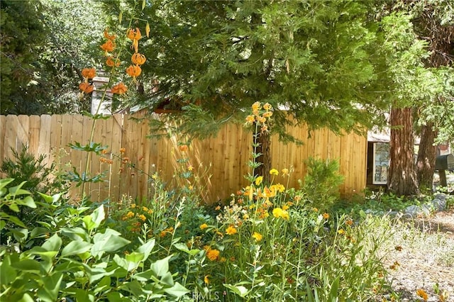 41394 Valley Of The Falls Dr, Forest Falls, CA 92339 - view of yard