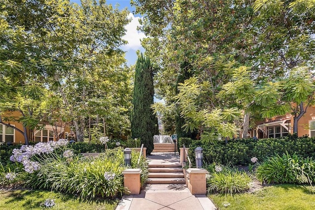 453 N Altadena Dr Unit 7, Pasadena, CA 91107 - photo 4