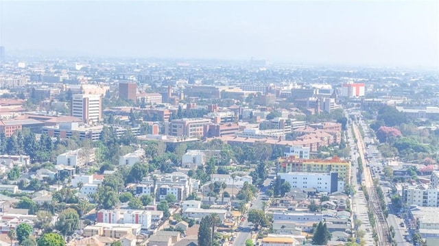 1327 Exposition Blvd, Los Angeles, CA 90018 - view of city