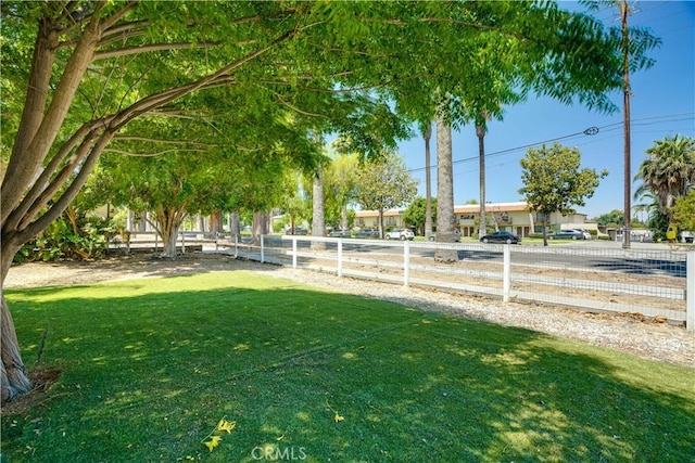 8084 Magnolia Ave, Riverside, CA 92504 - view of yard
