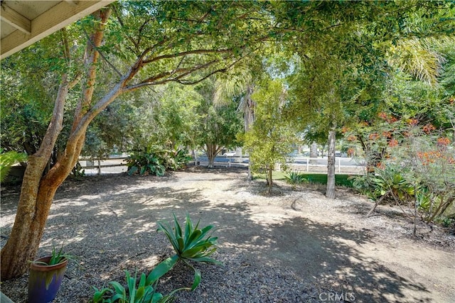 8084 Magnolia Ave, Riverside, CA 92504 - view of yard