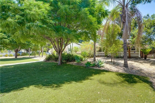 8084 Magnolia Ave, Riverside, CA 92504 - view of yard
