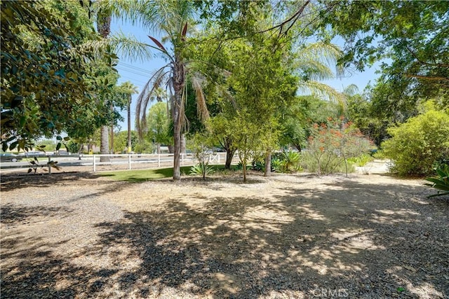 8084 Magnolia Ave, Riverside, CA 92504 - view of yard