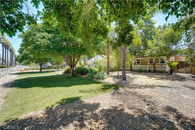 8084 Magnolia Ave, Riverside, CA 92504 - view of yard