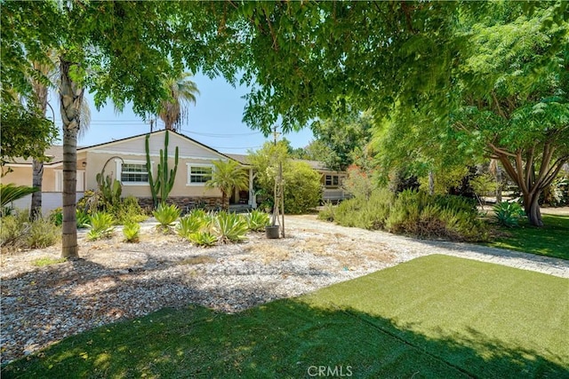8084 Magnolia Ave, Riverside, CA 92504 - view of grassy yard