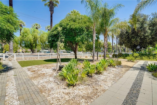8084 Magnolia Ave, Riverside, CA 92504 - view of yard