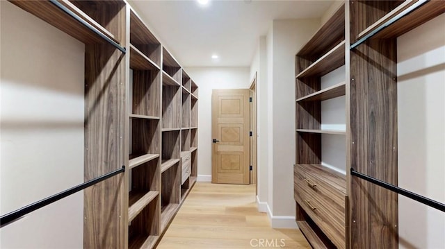 421 N Catalina St, Burbank, CA 91505 - spacious closet featuring light wood-style flooring