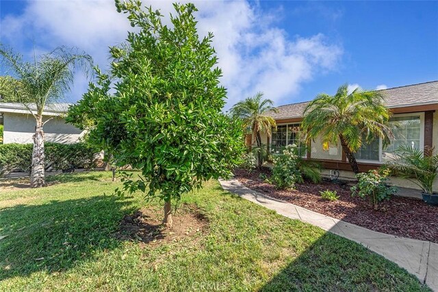 4268 Baggett Dr, Riverside, CA 92505 - view of grassy yard