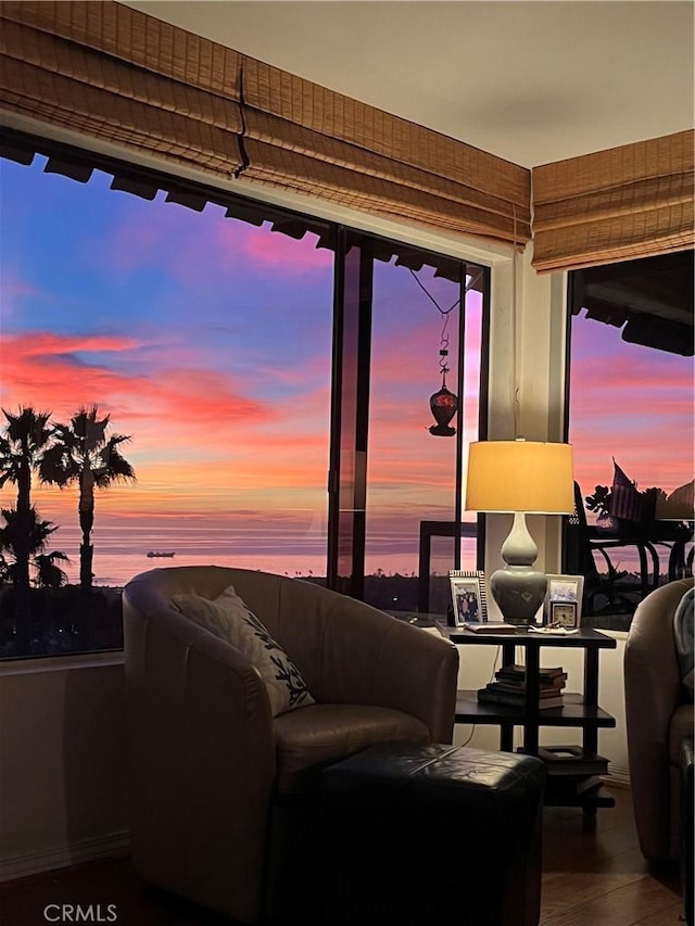 100 Calle Patricia Unit 1A, San Clemente, CA 92672 - view of living area