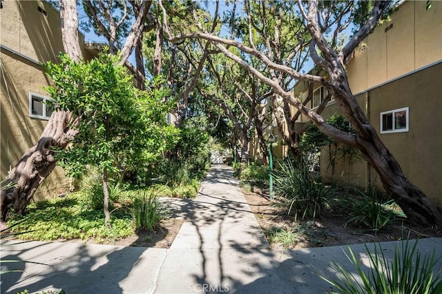 11138 Aqua Vista St Unit 49, Studio City, CA 91602 - photo 22