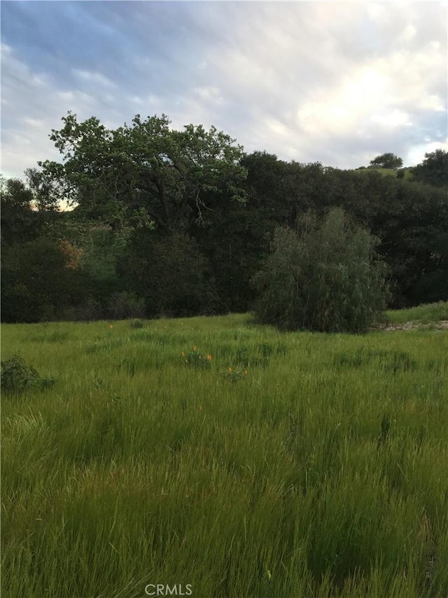 40 Bobcat Springs Rd, Buellton, CA 93427 - view of tree filled area