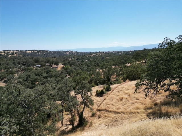 6875 Remunda Rd, Corning, CA 96021
