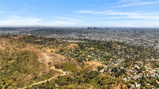 2838 Lambert Dr, Los Angeles, CA 90068 - photo 75