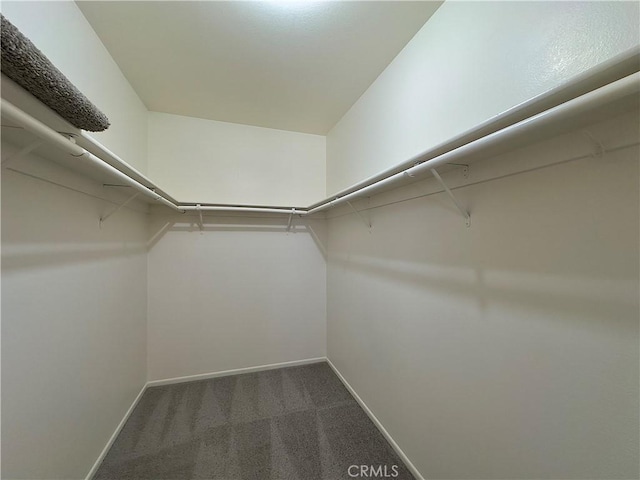 22241 Cholena Rd, Apple Valley, CA 92307 - spacious closet with carpet