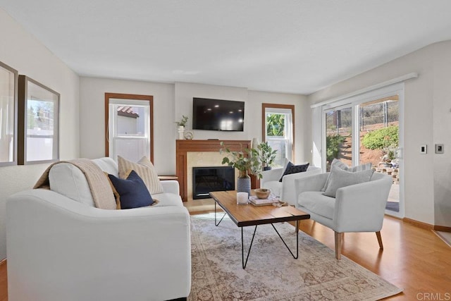 9481 Deanly St, Lakeside, CA 92040 - living room featuring light wood-type flooring and a glass covered fireplace