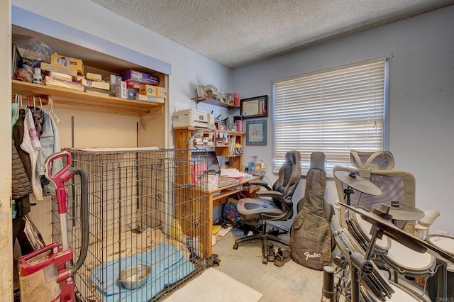 10151 Strathmore Dr, Santee, CA 92071 - carpeted office space with a textured ceiling