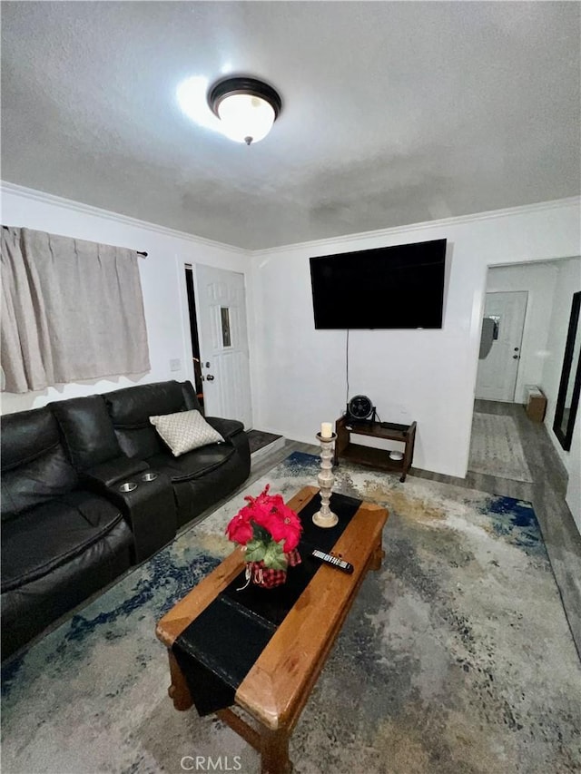 10945-10953 Campbell Ave, Riverside, CA 92505 - living room featuring crown molding and concrete flooring