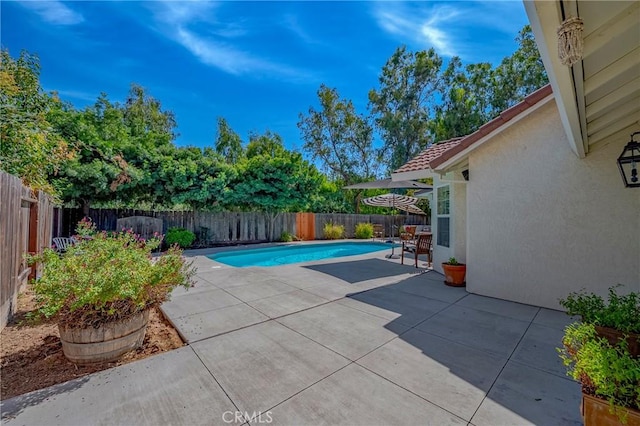 770 Warbler Ct, Merced, CA 95340 - view of swimming pool featuring a patio and a fenced backyard