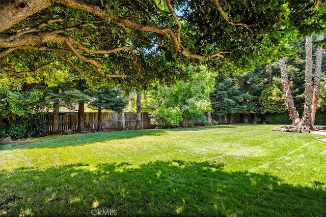 13962 Lindbergh Cir, Chico, CA 95973 - view of fenced backyard