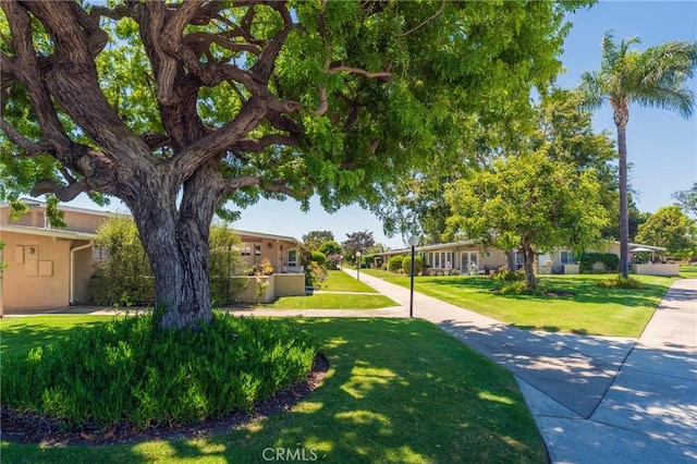 1701 Sunningdale Dr Unit 53E, Seal Beach, CA 90740 - photo 37