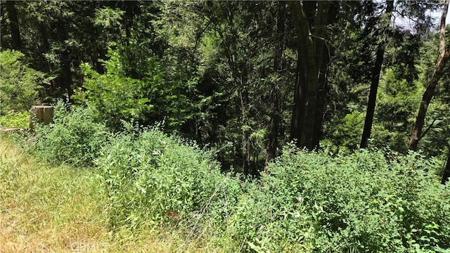 0 Cedar Pines Dr, Cedarpines Park, CA 92322