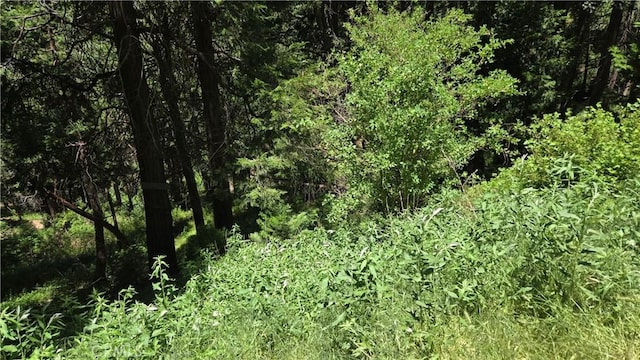 0 Cedar Pines Dr, Cedarpines Park, CA 92322