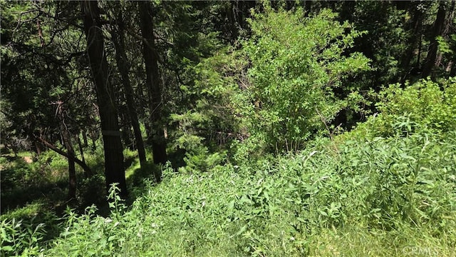 0 Cedar Pines Dr, Cedarpines Park, CA 92322